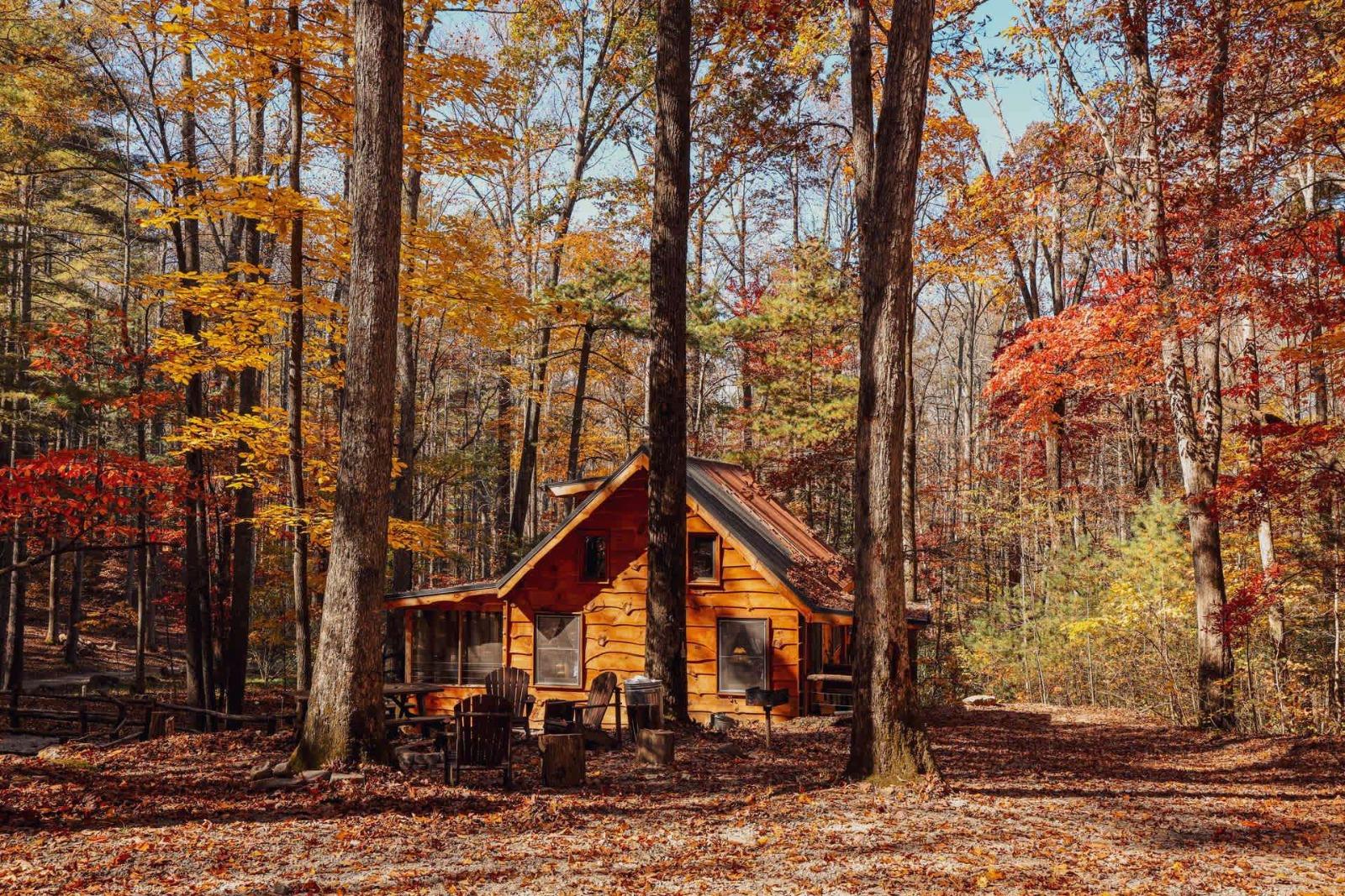 a cabin in the woods