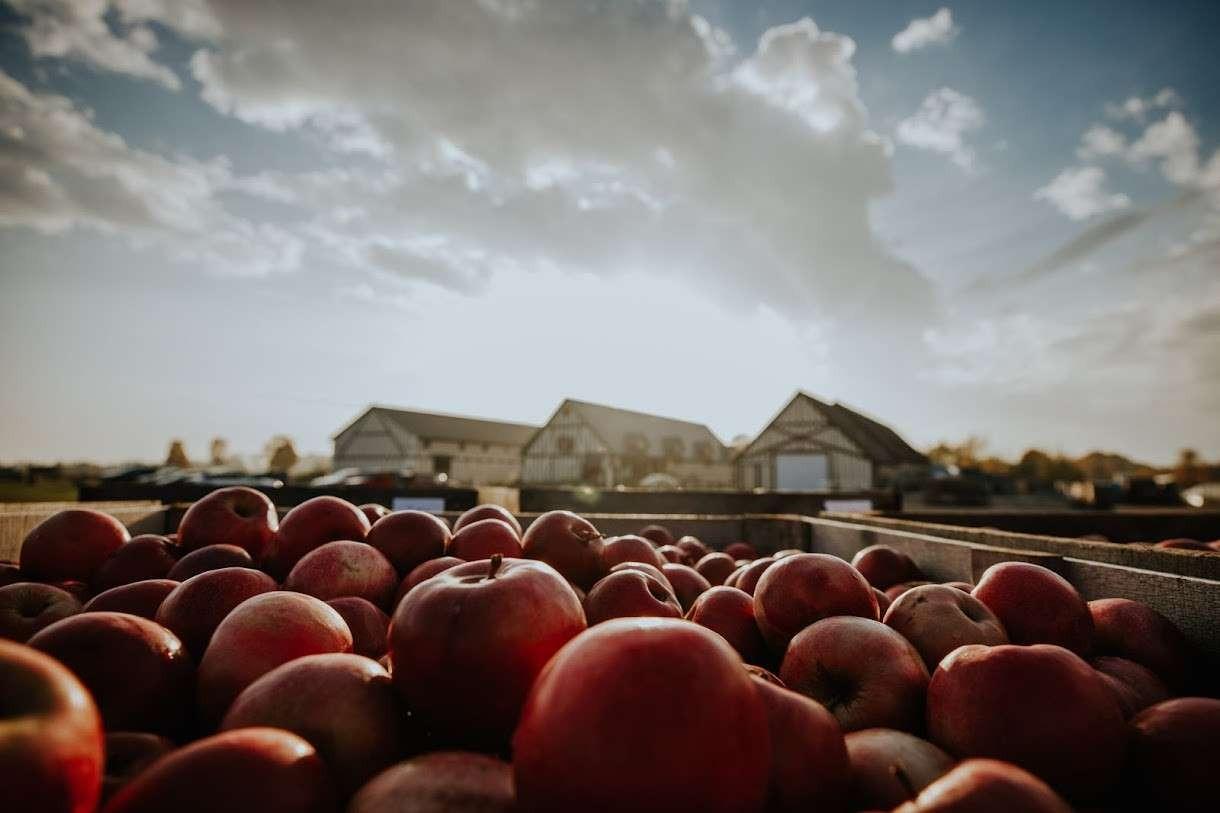 Virtue Cider