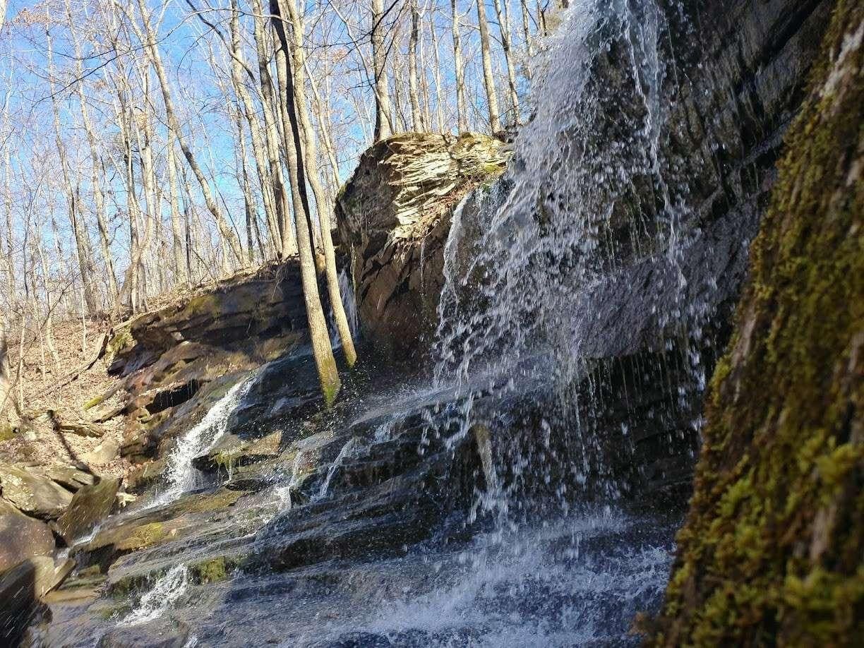 Cumberland Trail: Possum Creek Segment