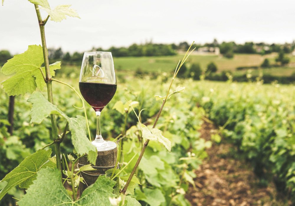 A glass of red wine placed on a vineyard post surrounded by green grapevines, with fields and a farmhouse in the background.