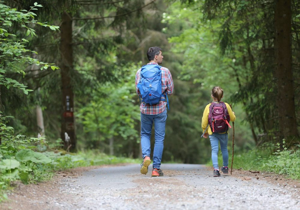 A parent and his daughter are hiking